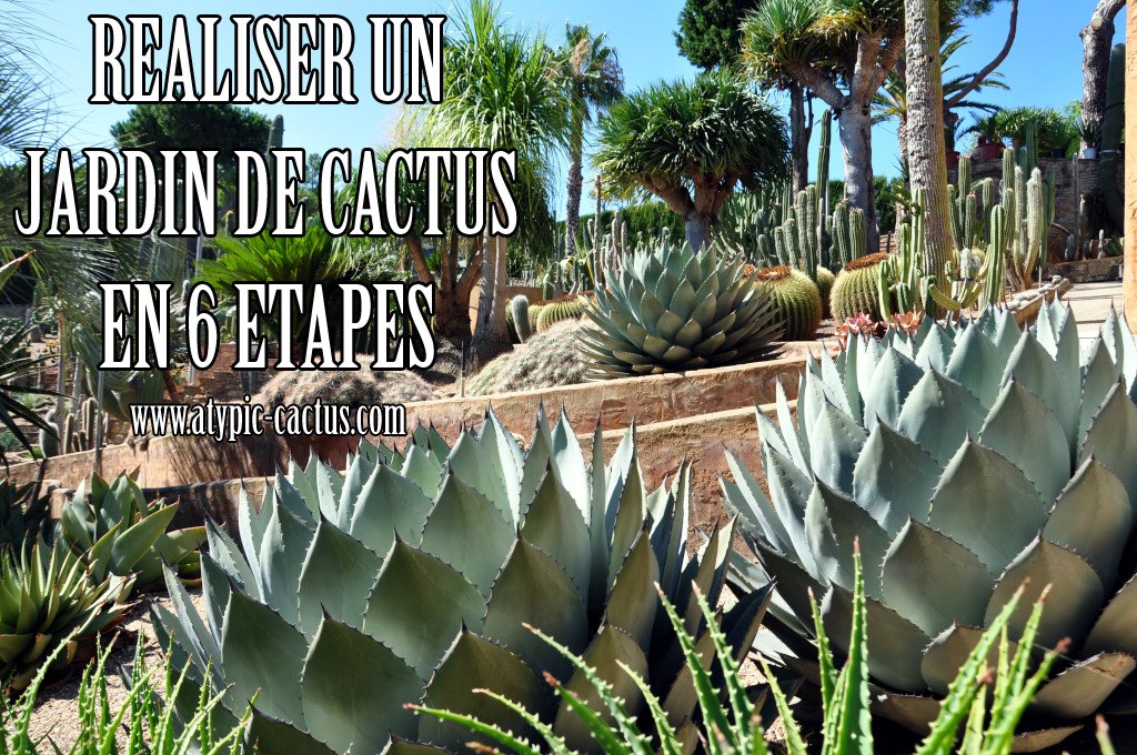 Sosoport 3 Pièces Piquets De Jardin Cactus Résistants Aux
