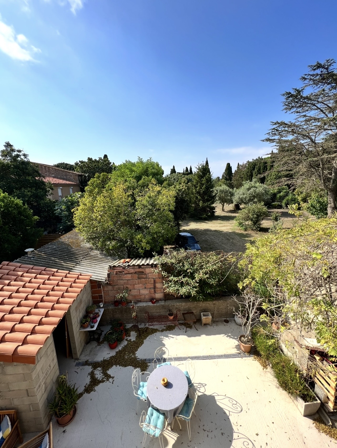 Avant/Après: Métamorphose d'un jardin en sanctuaire végétal.
