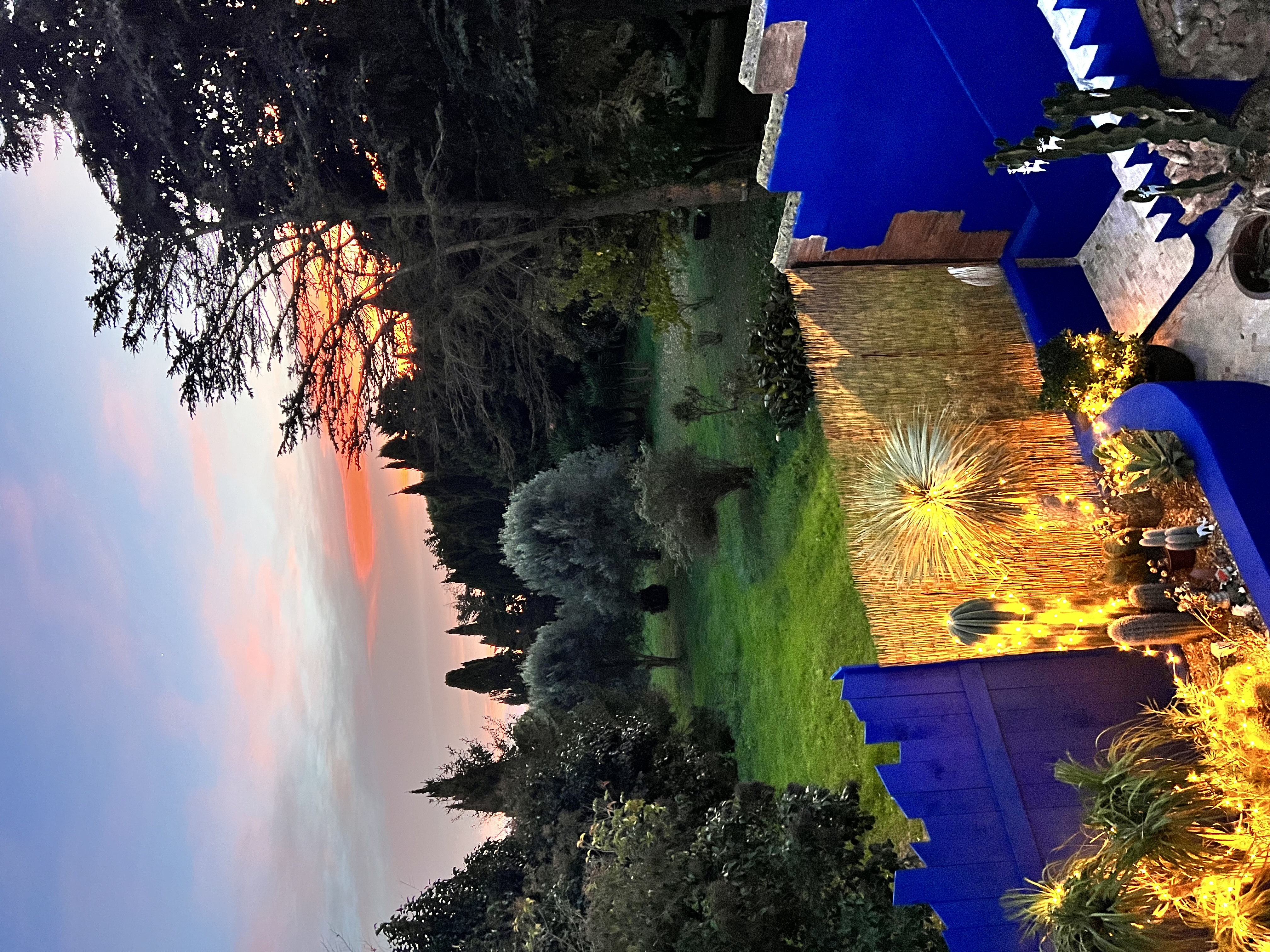 Avant/Après: Métamorphose d'un jardin en sanctuaire végétal.