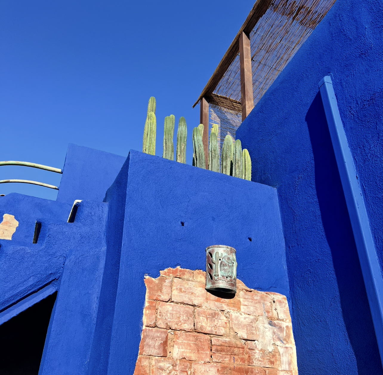 Avant/Après: Métamorphose d'un jardin en sanctuaire végétal.